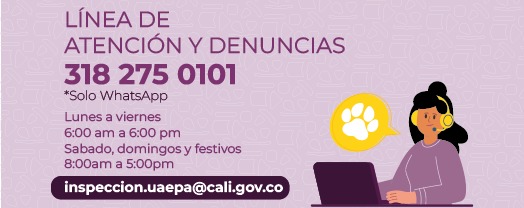 Linea de atenci&oacute;n 