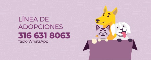 Adopciones 
