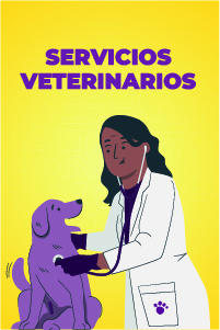 1. Servicios Veterinarios