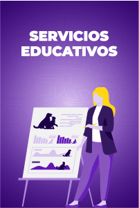 3. Servicios Educativos