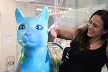 En el marco de la COP16, Alcald&iacute;a de Cali y Pacific Center se unen para desarrollar eventos ambientales