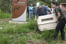 El &aacute;guila &lsquo;Kali&rsquo; retorn&oacute; a su h&aacute;bitat natural en la &lsquo;sucursal del cielo&rsquo;
