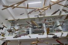 Cali se llena de arte biodiverso, social y ambiental