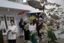 Cali se llena de arte biodiverso, social y ambiental