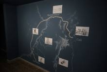 Cali se llena de arte biodiverso, social y ambiental