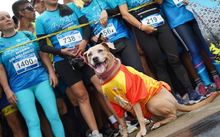 Cali madrugó y se gozó el bello paisaje de la Carrera 4.2K El Morro Río Meléndez 7