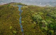Cali madrugó y se gozó el bello paisaje de la Carrera 4.2K El Morro Río Meléndez 14