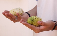 Saberes ancestrales y pr&aacute;cticas medioambientales se conjugan en una experiencia pedag&oacute;gica en Mariano Ramos