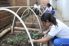 Saberes ancestrales y pr&aacute;cticas medioambientales se conjugan en una experiencia pedag&oacute;gica en Mariano Ramos