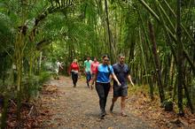 Conozca los eventos deportivos que hacen parte de la agenda COP16