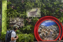 Una Cali c&iacute;vica y biodiversa hace presencia multitudinaria en la &lsquo;Zona Verde&rsquo; de la COP16