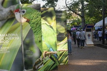 Una Cali c&iacute;vica y biodiversa hace presencia multitudinaria en la &lsquo;Zona Verde&rsquo; de la COP16