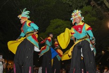 Una Cali c&iacute;vica y biodiversa hace presencia multitudinaria en la &lsquo;Zona Verde&rsquo; de la COP16