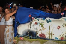 En la inauguraci&oacute;n del stand de Cali, en la Plaza de Cayzedo, fue presentada &lsquo;Floresmira&rsquo;, la gata COP16