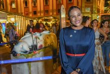 En la inauguraci&oacute;n del stand de Cali, en la Plaza de Cayzedo, fue presentada &lsquo;Floresmira&rsquo;, la gata COP16