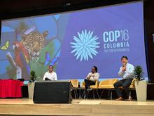 &iexcl;A correr para salvar el planeta! Eventos deportivos sostenibles y su impacto ambiental en la Agenda Acad&eacute;mica COP16