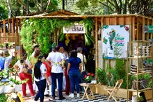 Alcald&iacute;a de Cali implementa pr&aacute;cticas de sostenibilidad con enfoque  ambiental en sus procesos de contrataci&oacute;n