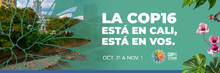 Cop19-3