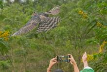 Delio Orjuela, un guardi&aacute;n de la biodiversidad en Cali