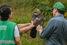 Delio Orjuela, un guardi&aacute;n de la biodiversidad en Cali