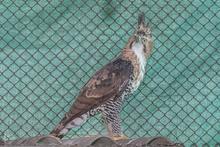 Delio Orjuela, un guardi&aacute;n de la biodiversidad en Cali