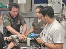 Delio Orjuela, un guardi&aacute;n de la biodiversidad en Cali