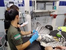 Delio Orjuela, un guardi&aacute;n de la biodiversidad en Cali