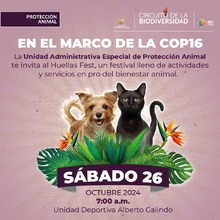 Huellas Fest: un encuentro por el bienestar animal en Cali