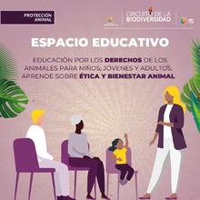 Huellas Fest: un encuentro por el bienestar animal en Cali