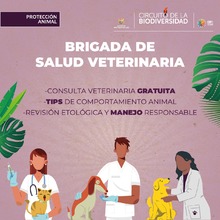 Huellas Fest: un encuentro por el bienestar animal en Cali