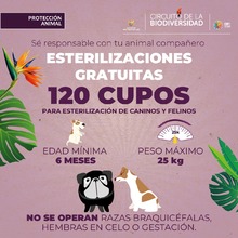 Huellas Fest: un encuentro por el bienestar animal en Cali