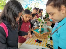 M&aacute;s de 3500 estudiantes de colegios oficiales y privados de Cali participaron en la segunda jornada de la Ciudadela Educativa