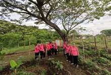 Cali se conecta con el r&iacute;o Cauca: nueva ruta tur&iacute;stica en el jarill&oacute;n