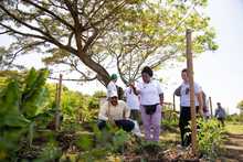 Cali se conecta con el r&iacute;o Cauca: nueva ruta tur&iacute;stica en el jarill&oacute;n