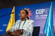 Secretar&iacute;a de Turismo firm&oacute; acuerdo con el Centro Mundial de Excelencia para Destinos para fortalecer el turismo de naturaleza regenerativo