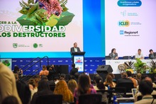 Alcalde de Cali pide crear durante la COP16 la &lsquo;Coalici&oacute;n de ciudades contra las econom&iacute;as criminales que afectan la biodiversidad&rsquo;