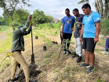 Durante la COP, se sembraron &aacute;rboles y se recuperaron zonas verdes en Cali