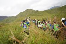 Se corri&oacute; la 4.2K Farallones Trail Run en Cali, la gran fiesta del atletismo en el marco de la COP16
