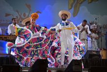 Conozca las iniciativas ganadoras de la convocatoria Siembra 2024 de la IUIPC