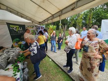  La Instituci&oacute;n Educativa INEM tiene la planta de compostaje m&aacute;s grande de Cali: un referente en aprovechamiento de residuos 