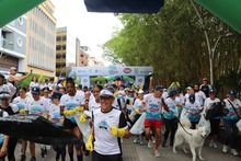 M&aacute;s de 300 cale&ntilde;os le apostaron al deporte y al medio ambiente en el  &lsquo;Plogging: Corriendo por un Mundo de Bienestar&rsquo;