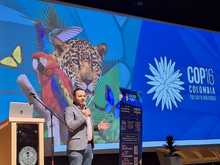 Caminos para estar en Paz con la Naturaleza