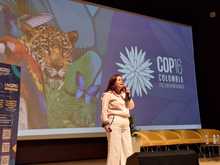 Caminos para estar en Paz con la Naturaleza