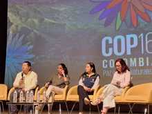 Caminos para estar en Paz con la Naturaleza