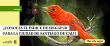 Banner_biodiversidad