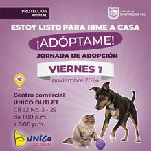 &iquest;Quieres brindarle un hogar a un animal de compa&ntilde;&iacute;a? &iexcl;Este 31 de octubre y 1 de noviembre son tus d&iacute;as para hacerlo!