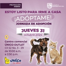 &iquest;Quieres brindarle un hogar a un animal de compa&ntilde;&iacute;a? &iexcl;Este 31 de octubre y 1 de noviembre son tus d&iacute;as para hacerlo!