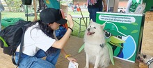 Alcald&iacute;a de Cali avanza con la campa&ntilde;a &lsquo;Yo cuido y mantengo mi parque limpio&rsquo;, para la correcta disposici&oacute;n de excrementos de mascotas