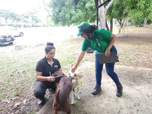 Alcald&iacute;a de Cali avanza con la campa&ntilde;a &lsquo;Yo cuido y mantengo mi parque limpio&rsquo;, para la correcta disposici&oacute;n de excrementos de mascotas