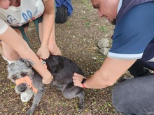 Alcald&iacute;a de Cali avanza con la campa&ntilde;a &lsquo;Yo cuido y mantengo mi parque limpio&rsquo;, para la correcta disposici&oacute;n de excrementos de mascotas